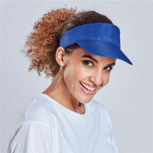 Alternative view of Basic Sun Visor