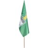 Champion Large Hand Flag 900mm x 600mm