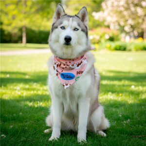 Alternative view of Pre-Production Sample Hoppla Bosco Large Polyester Dog Bandana